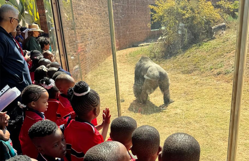 lesedi-sedi-school-ecd-pretoria-trip-2025-image-2.jpg